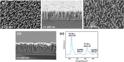 InGaN/Cu2O Heterostructure Core-Shell Nanowire Photoanode for Efficient Solar Water Splitting